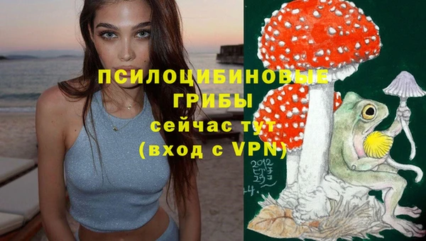 ПСИЛОЦИБИНОВЫЕ ГРИБЫ Бугульма
