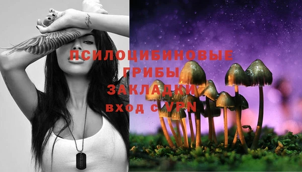 ПСИЛОЦИБИНОВЫЕ ГРИБЫ Бугульма