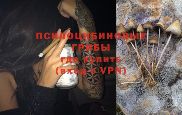 ПСИЛОЦИБИНОВЫЕ ГРИБЫ Бугульма