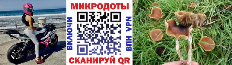 Псилоцибиновые грибы MAGIC MUSHROOMS  где продают   Бугуруслан 