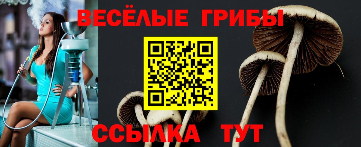 наркота  Галлюциногенные грибы GOLDEN TEACHER  Вход с VPN  Псилоцибиновые грибы мицелий  Бугуруслан 